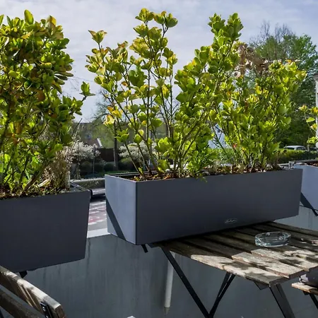 Modern And Stylish Near Centre Apartment Ulm